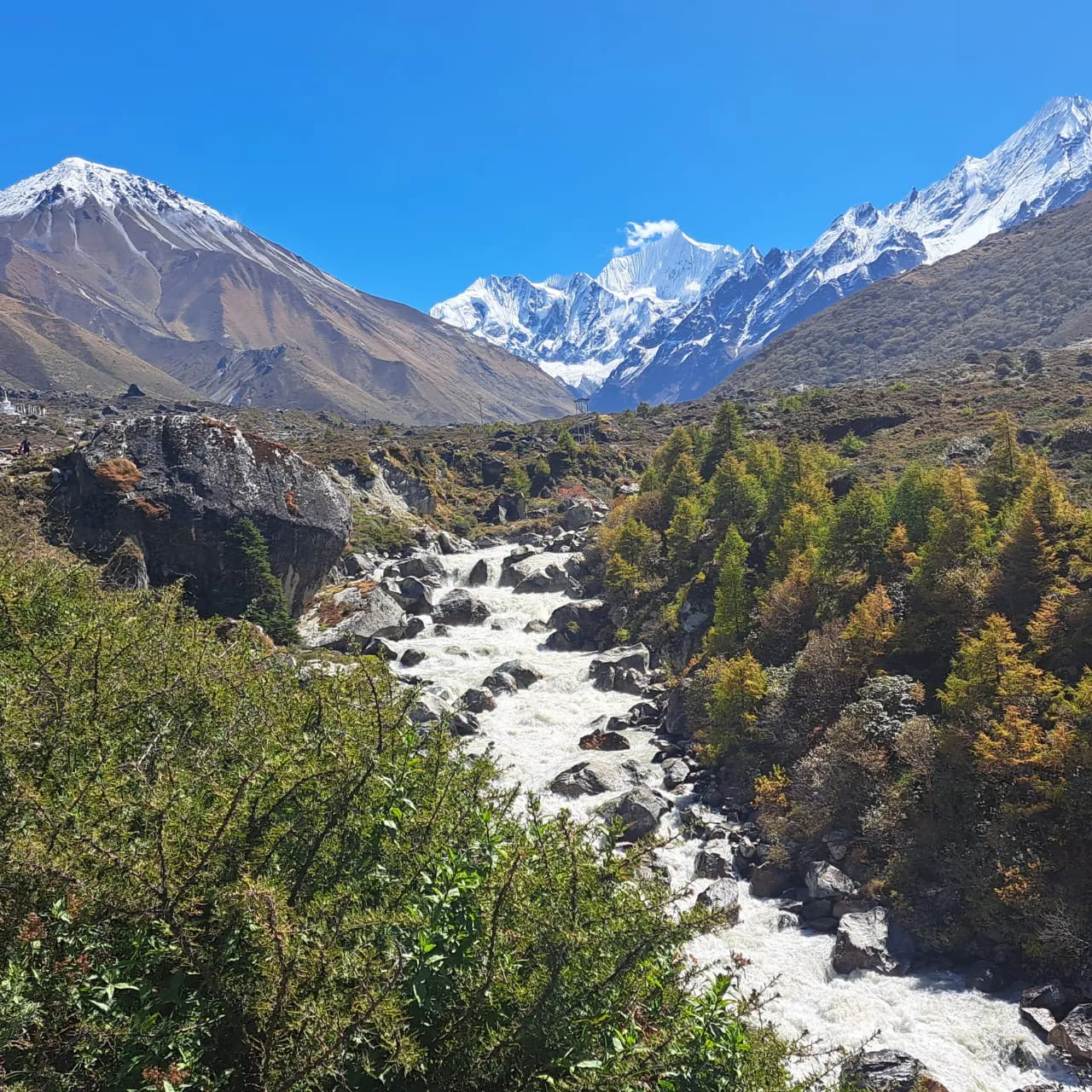 Langtang Valley Trek with Ganja la Pass