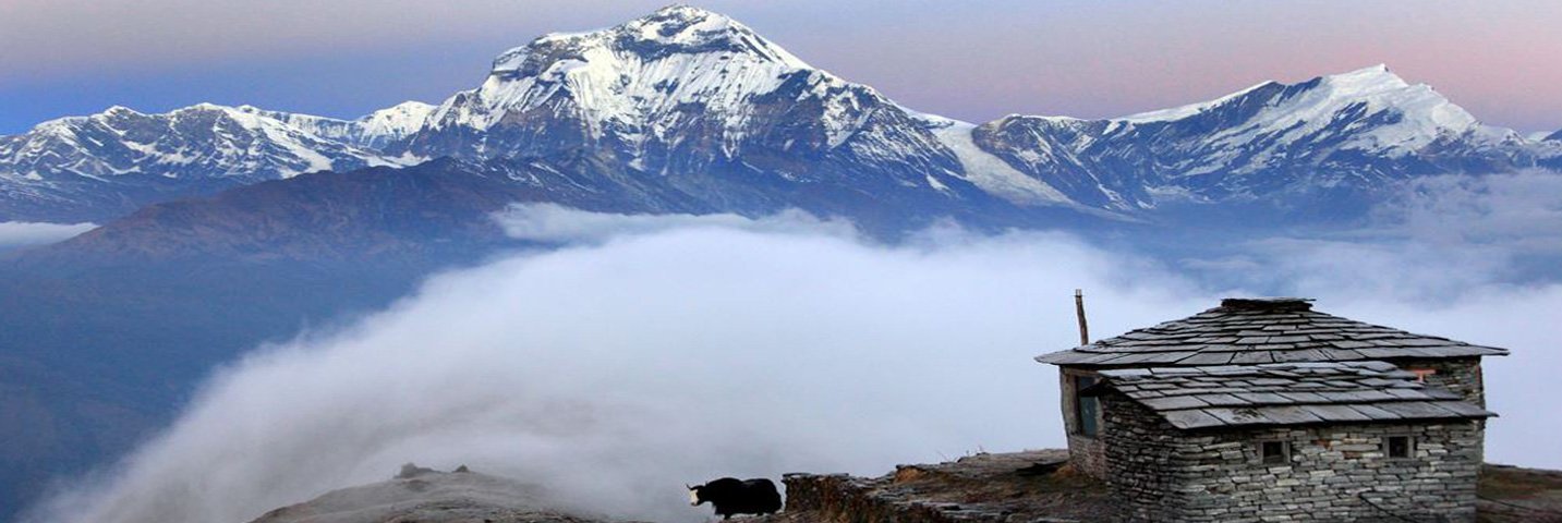 Khopra-Ridge-Trek