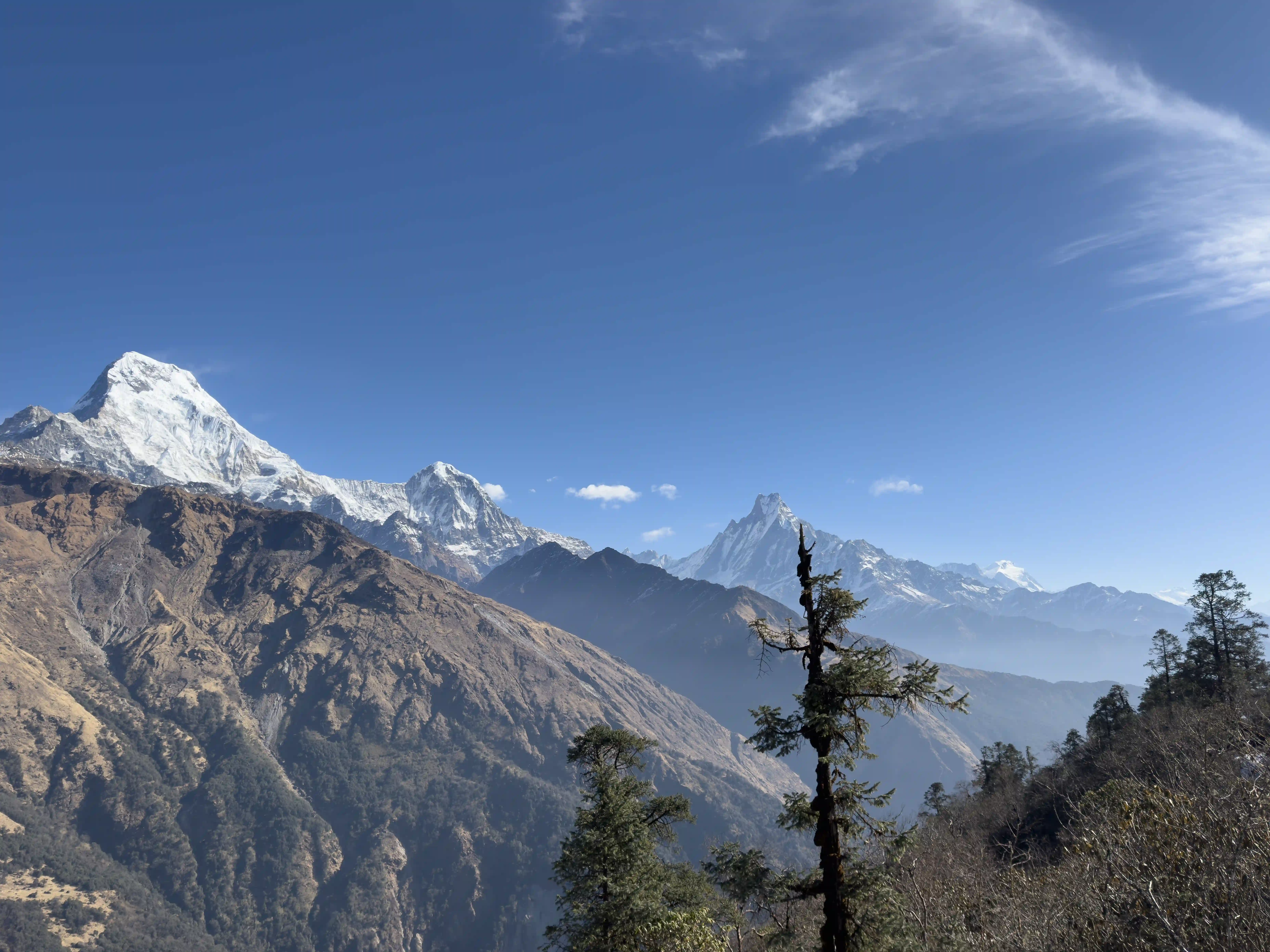 Mulde View Trek – 9 Days